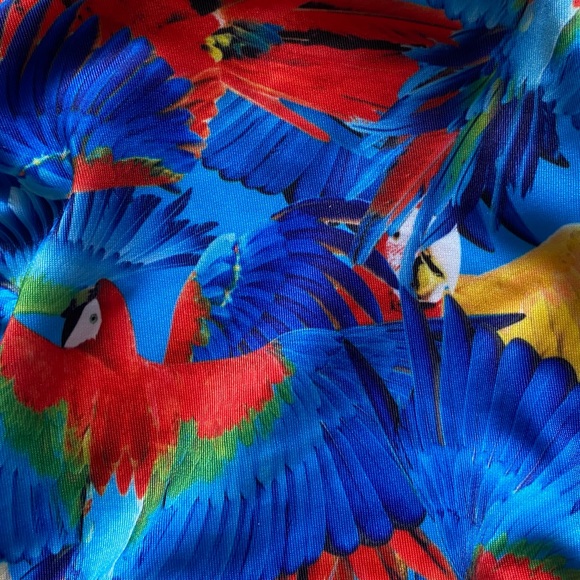 Macaw Tropical High Waisted Cheeky Bikini Bottom - Picture 5 of 5